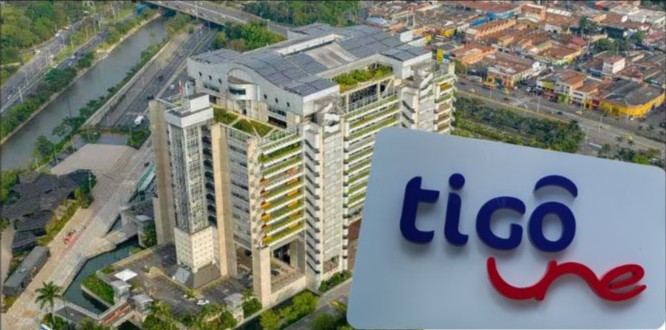 Amarillo Estilo Moderno Día Internacional del Gato Tu Historia