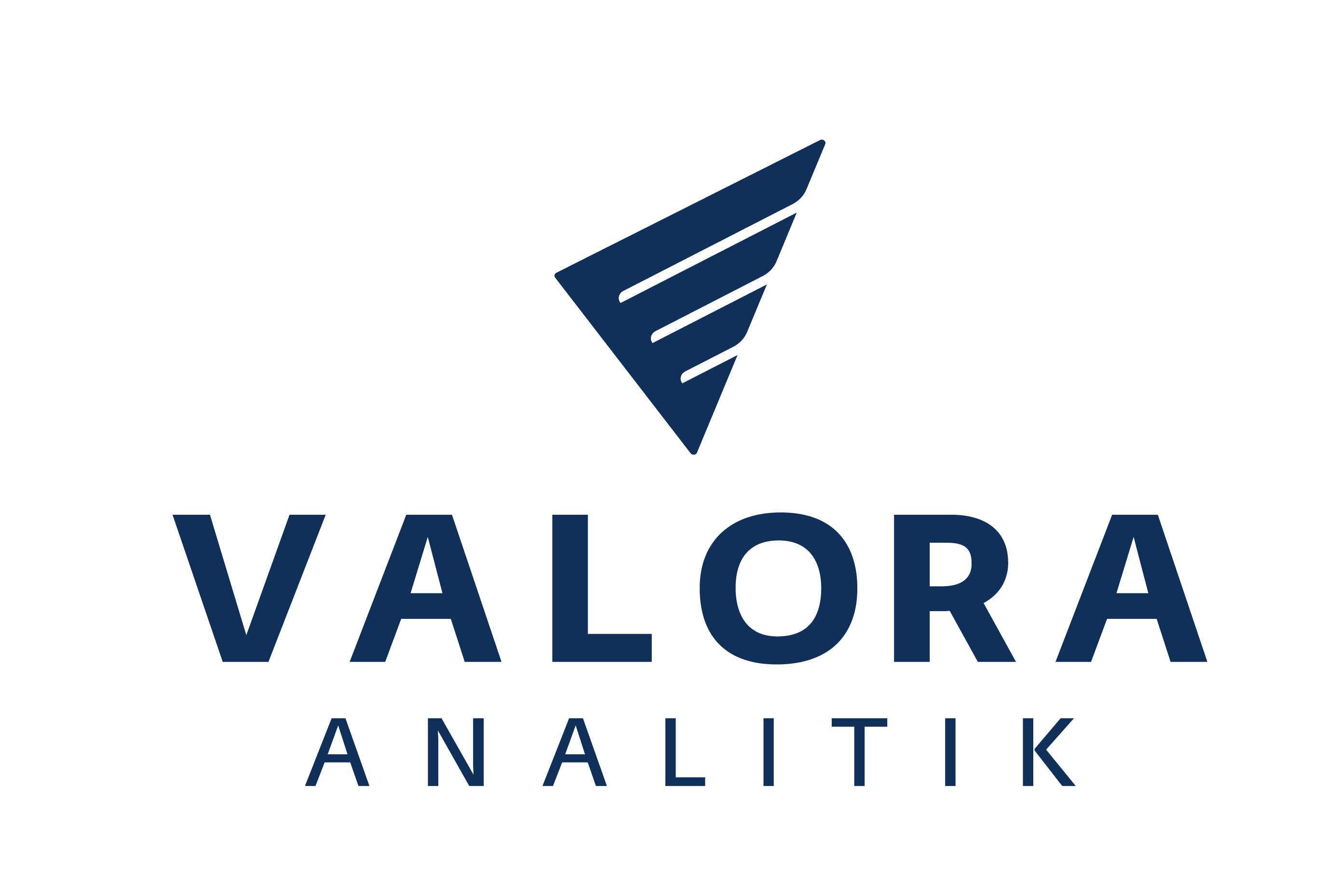 LOGOS VALORA ANALITIK 03