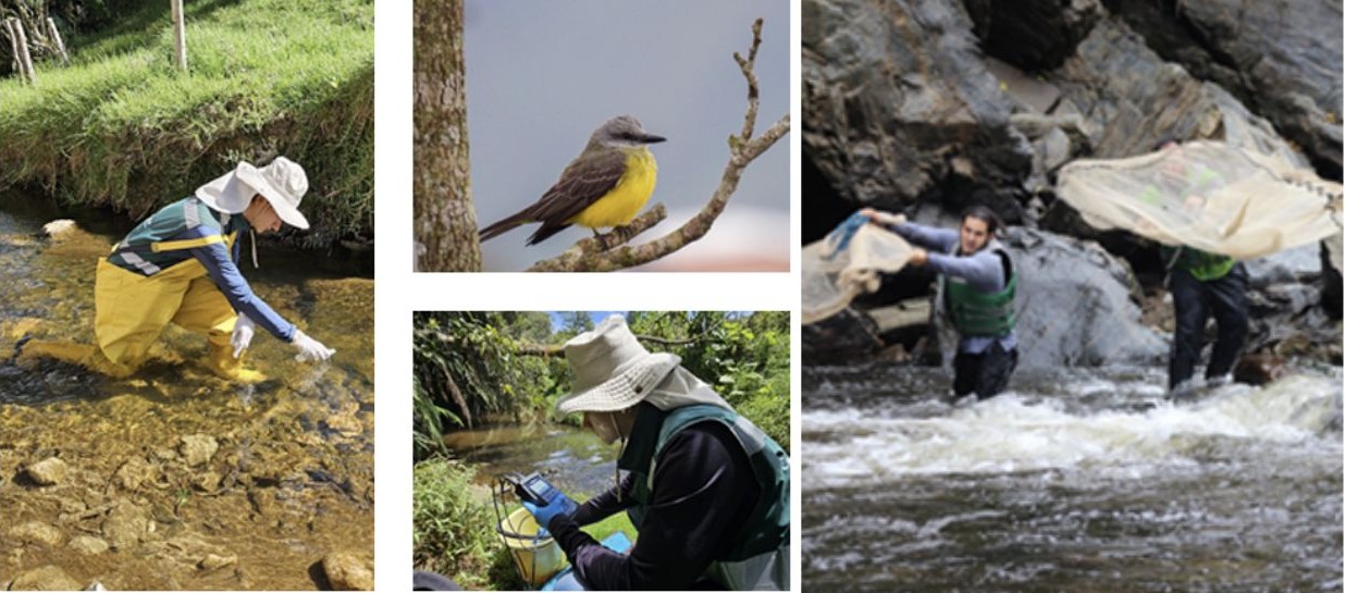 Retos para el próximo gobierno 4